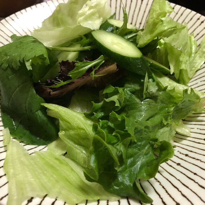 シャキシャキ!グリーンサラダ